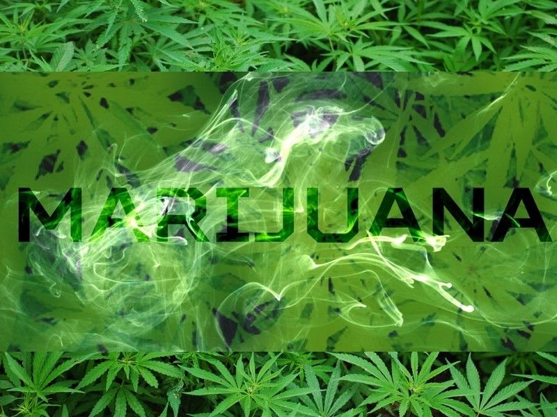 Eau Claire Now Fines $1 For Marijuana Possession
