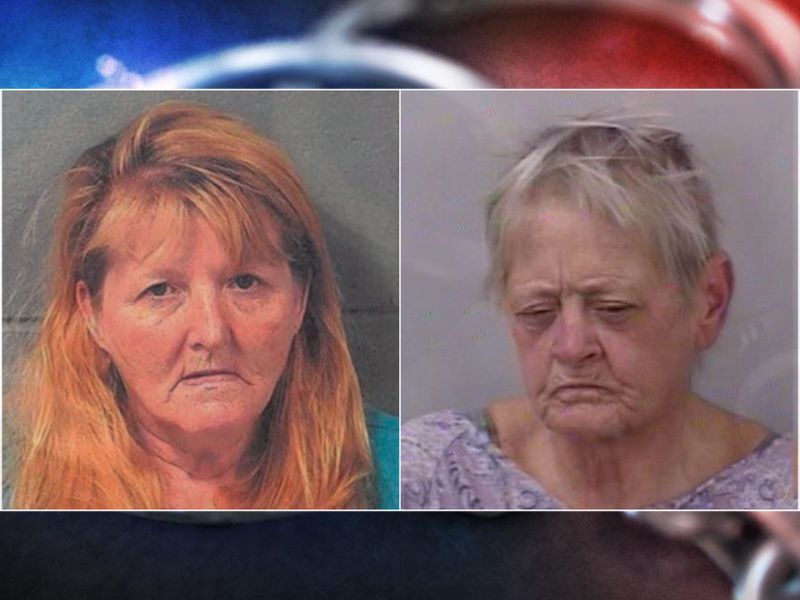 Insider: K9 Alert Leads Deputies to 16+ Grams of Meth in Polk County Traffic Stop