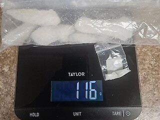 Traffic Stop Nets Quarter Pound of Meth, Other Suspected Drugs in Polk County Article Image