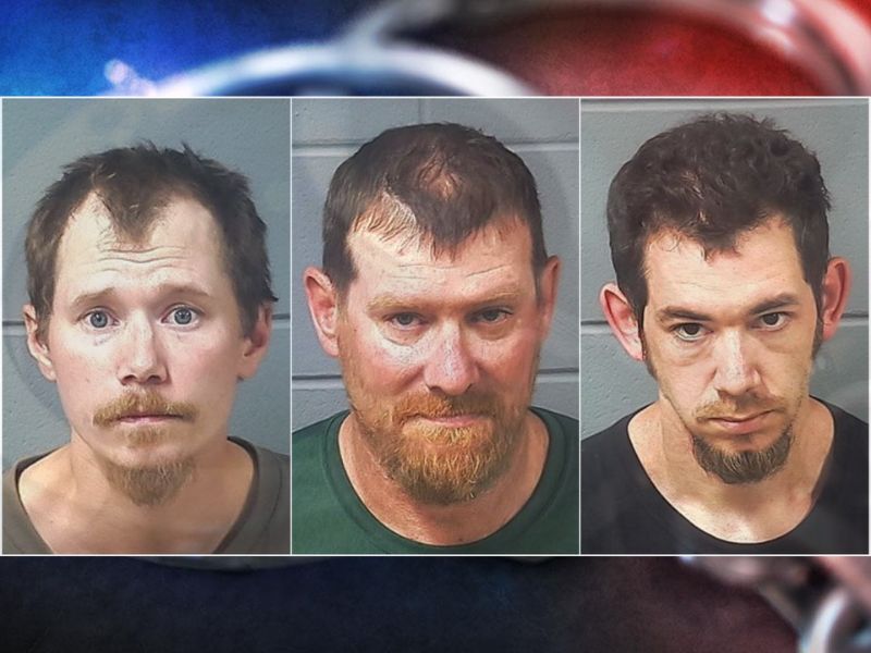 Insider: Drug Probe Leads to Felony Charges, Marijuana Grow Seizure in Burnett County